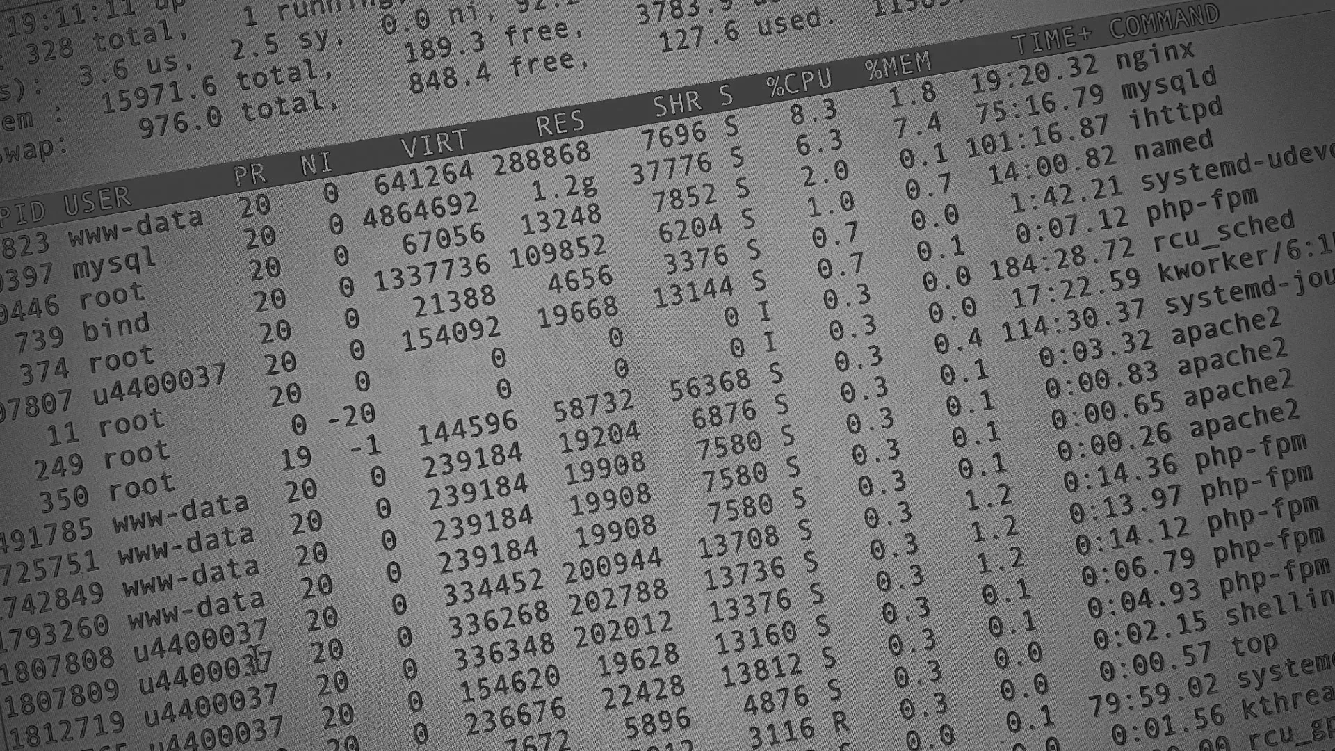 Настройка сервера в Бийске